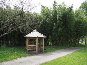 Bambushütte